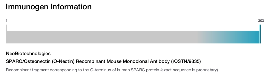 SPARC/Osteonectin (O-Nectin) Recombinant Mouse Monoclonal Antibody (rOSTN/9835)