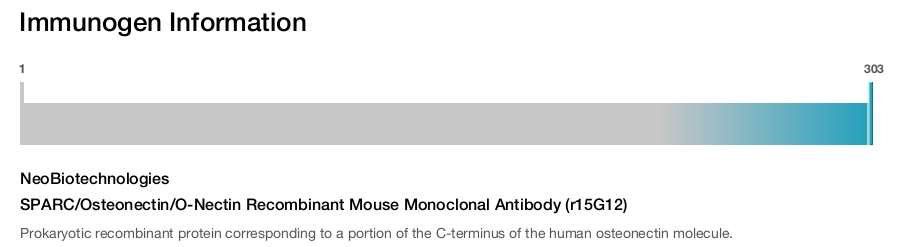 SPARC/Osteonectin/O-Nectin Recombinant Mouse Monoclonal Antibody (r15G12)