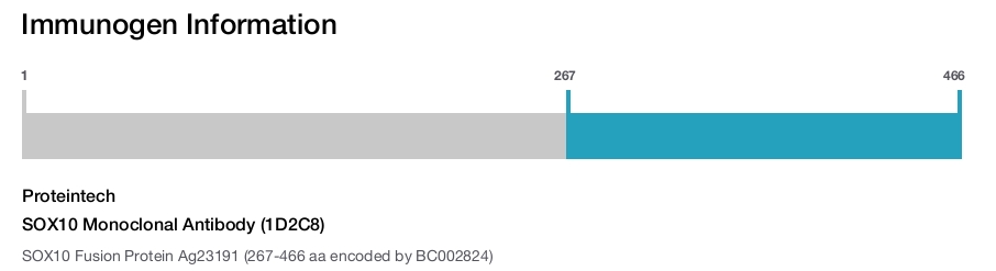SOX10 Monoclonal Antibody (1D2C8)