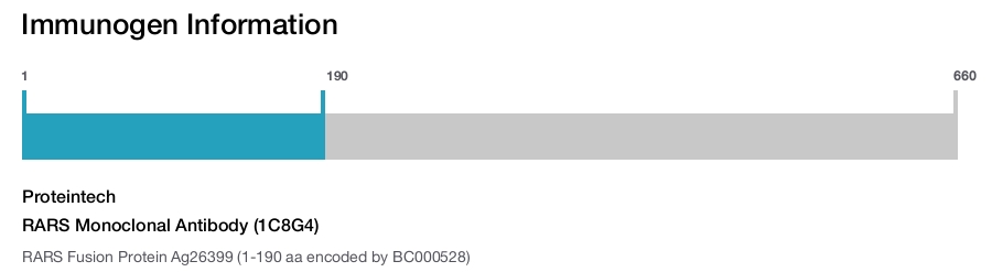 RARS Monoclonal Antibody (1C8G4)