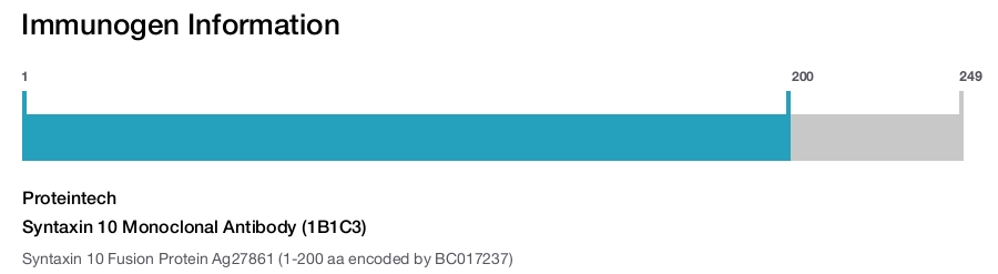 Syntaxin 10 Monoclonal Antibody (1B1C3)