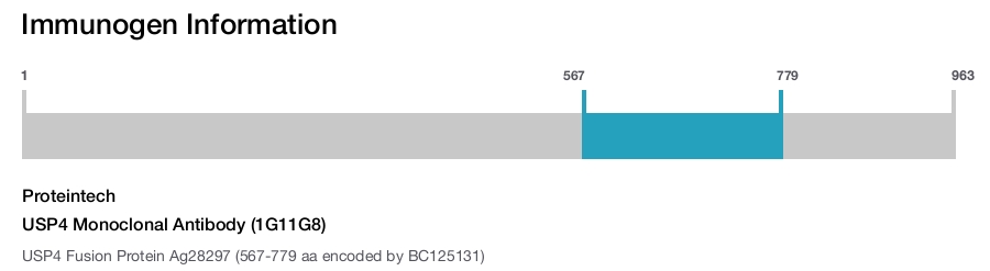 USP4 Monoclonal Antibody (1G11G8)