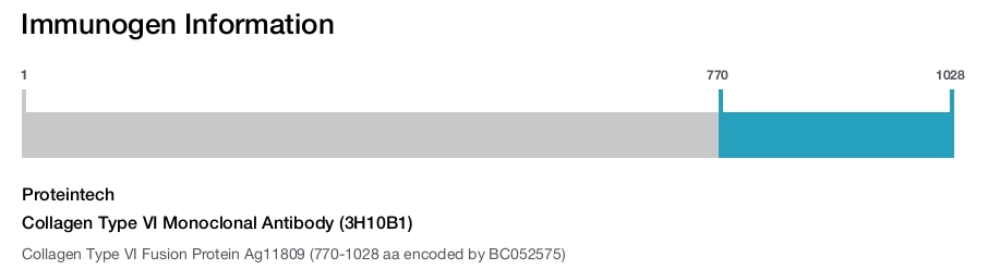 Collagen Type VI Monoclonal Antibody (3H10B1)