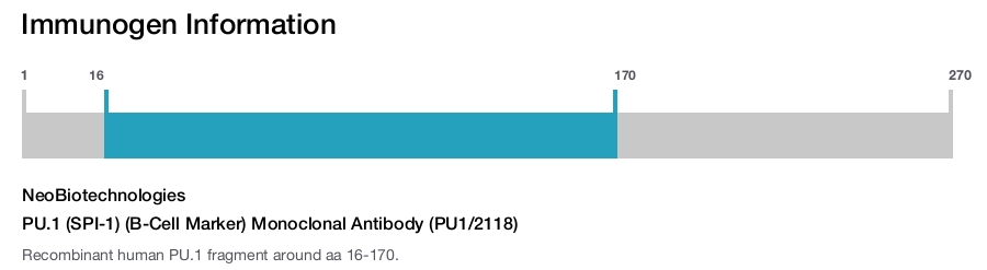 PU.1 (SPI-1) (B-Cell Marker) Monoclonal Antibody (PU1/2118)
