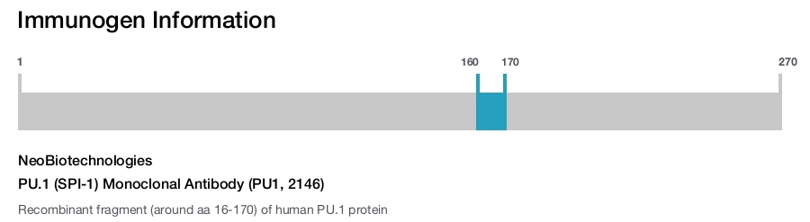 PU.1 (SPI-1) Monoclonal Antibody (PU1, 2146)