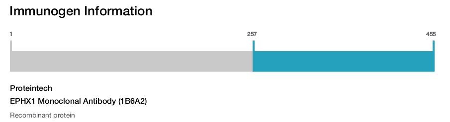 EPHX1 Monoclonal Antibody (1B6A2)
