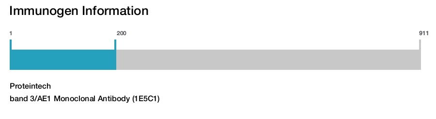 band 3/AE1 Monoclonal Antibody (1E5C1)
