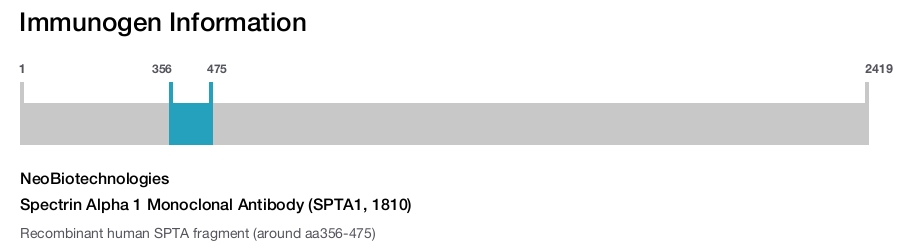 Spectrin Alpha 1 Monoclonal Antibody (SPTA1, 1810)