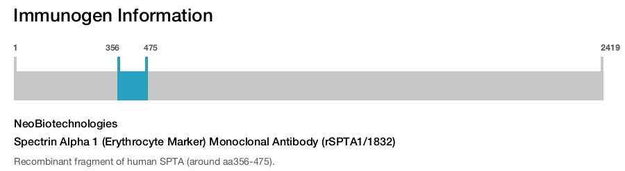 Spectrin Alpha 1 (Erythrocyte Marker) Monoclonal Antibody (rSPTA1/1832)