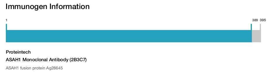 ASAH1 Monoclonal Antibody (2B3C7)