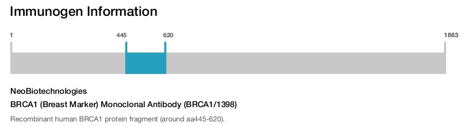 BRCA1 (Breast Marker) Monoclonal Antibody (BRCA1/1398)