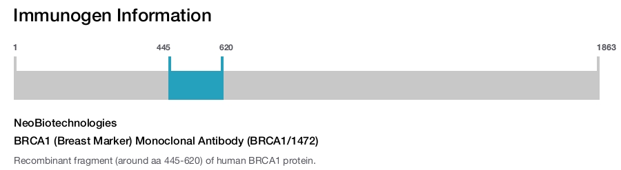 BRCA1 (Breast Marker) Monoclonal Antibody (BRCA1/1472)