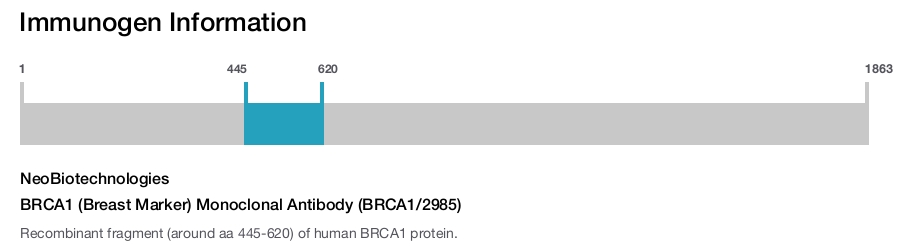BRCA1 (Breast Marker) Monoclonal Antibody (BRCA1/2985)