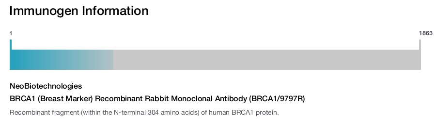 BRCA1 (Breast Marker) Recombinant Rabbit Monoclonal Antibody (BRCA1/9797R)