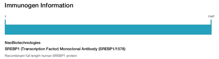 SREBP1 (Transcription Factor) Monoclonal Antibody (SREBP1/1578)