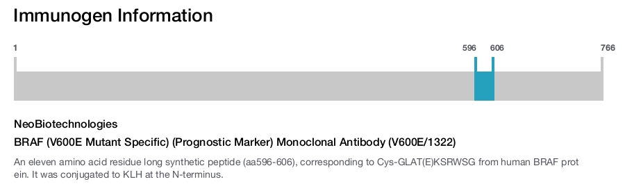 BRAF (V600E Mutant Specific) (Prognostic Marker) Monoclonal Antibody (V600E/1322)