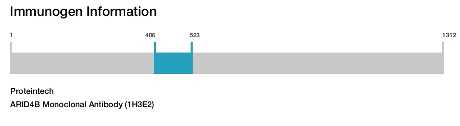 ARID4B Monoclonal Antibody (1H3E2)