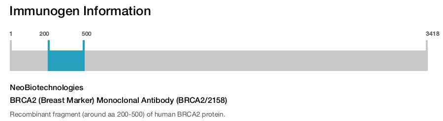BRCA2 (Breast Marker) Monoclonal Antibody (BRCA2/2158)