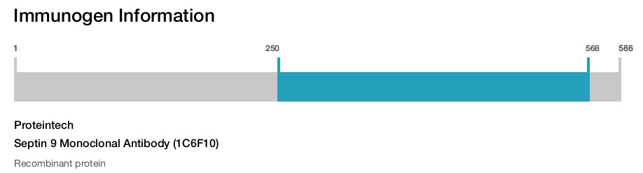Septin 9 Monoclonal Antibody (1C6F10)