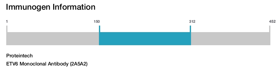 ETV6 Monoclonal Antibody (2A5A2)