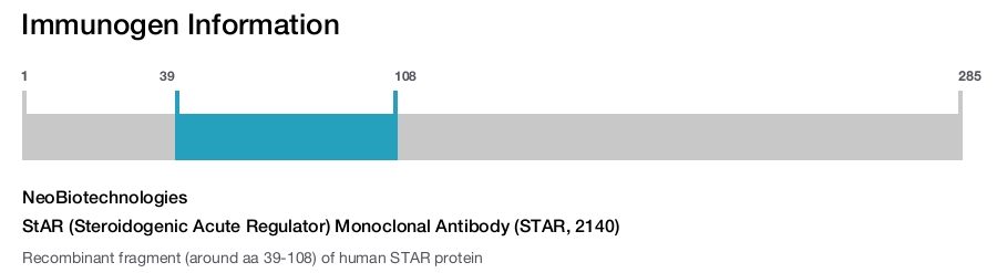StAR (Steroidogenic Acute Regulator) Monoclonal Antibody (STAR, 2140)