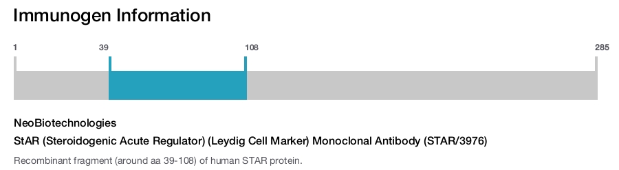 StAR (Steroidogenic Acute Regulator) (Leydig Cell Marker) Monoclonal Antibody (STAR/3976)