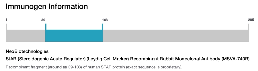 StAR (Steroidogenic Acute Regulator) (Leydig Cell Marker) Recombinant Rabbit Monoclonal Antibody (MSVA-740R)