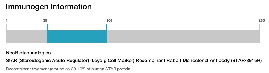 StAR (Steroidogenic Acute Regulator) (Leydig Cell Marker) Recombinant Rabbit Monoclonal Antibody (STAR/3915R)