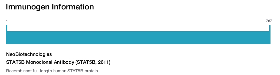 STAT5B Monoclonal Antibody (STAT5B, 2611)
