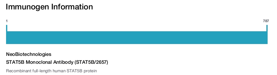 STAT5B Monoclonal Antibody (STAT5B/2657)