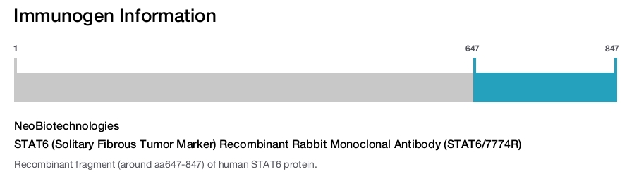 STAT6 (Solitary Fibrous Tumor Marker) Recombinant Rabbit Monoclonal Antibody (STAT6/7774R)