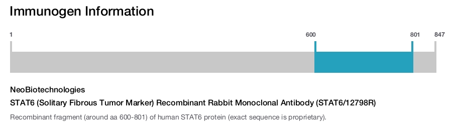 STAT6 (Solitary Fibrous Tumor Marker) Recombinant Rabbit Monoclonal Antibody (STAT6/12798R)