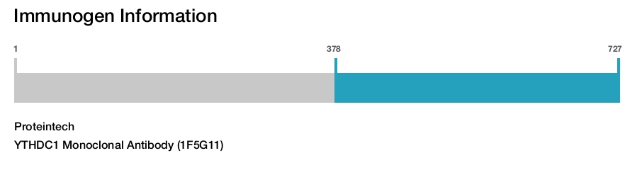 YTHDC1 Monoclonal Antibody (1F5G11)