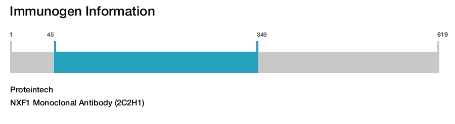 NXF1 Monoclonal Antibody (2C2H1)