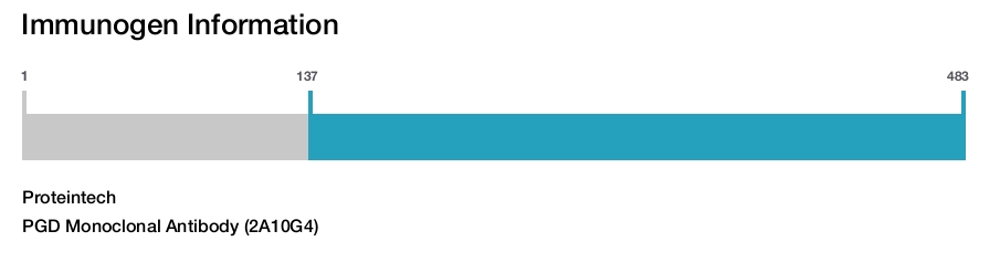 PGD Monoclonal Antibody (2A10G4)