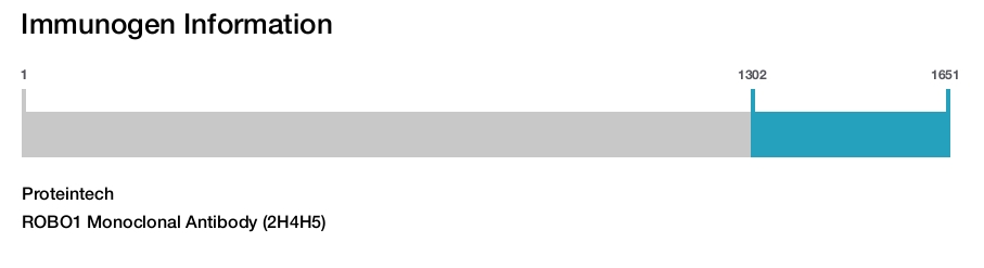 ROBO1 Monoclonal Antibody (2H4H5)