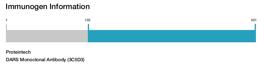 DARS Monoclonal Antibody (3C5D3)