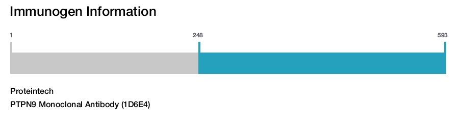 PTPN9 Monoclonal Antibody (1D6E4)