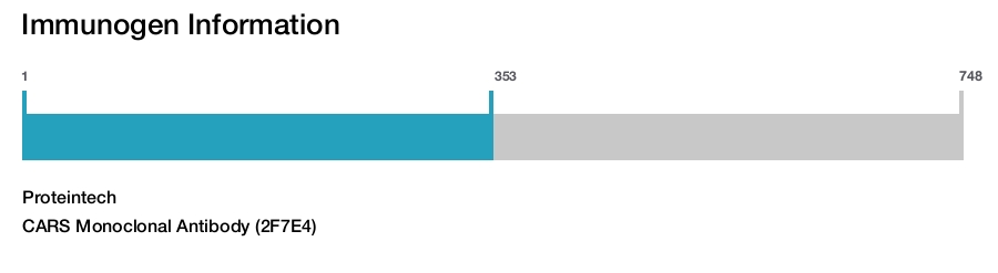 CARS Monoclonal Antibody (2F7E4)