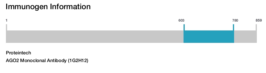 AGO2 Monoclonal Antibody (1G2H12)