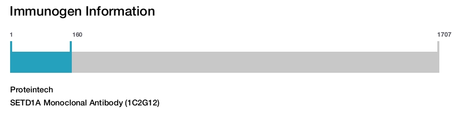 SETD1A Monoclonal Antibody (1C2G12)