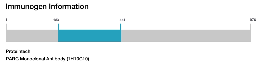 PARG Monoclonal Antibody (1H10G10)
