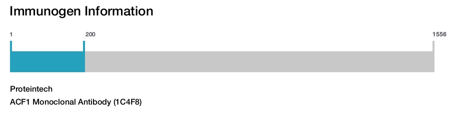 ACF1 Monoclonal Antibody (1C4F8)
