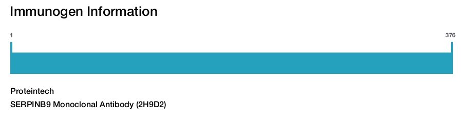 SERPINB9 Monoclonal Antibody (2H9D2)