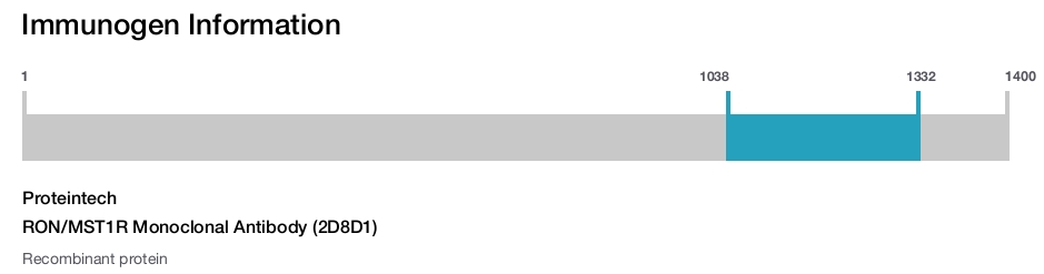 RON/MST1R Monoclonal Antibody (2D8D1)