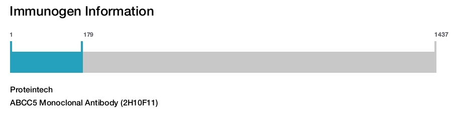 ABCC5 Monoclonal Antibody (2H10F11)