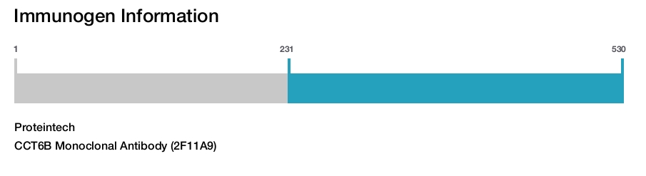 CCT6B Monoclonal Antibody (2F11A9)