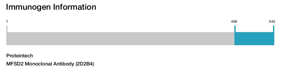MFSD2 Monoclonal Antibody (2D2B4)