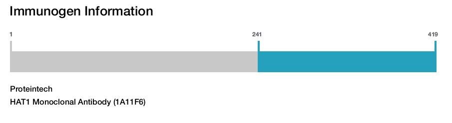 HAT1 Monoclonal Antibody (1A11F6)