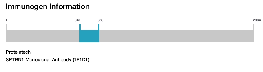 SPTBN1 Monoclonal Antibody (1E1D1)